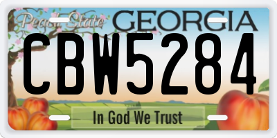 GA license plate CBW5284