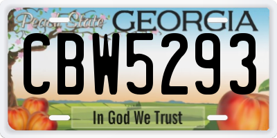 GA license plate CBW5293