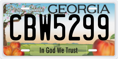 GA license plate CBW5299
