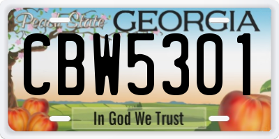 GA license plate CBW5301