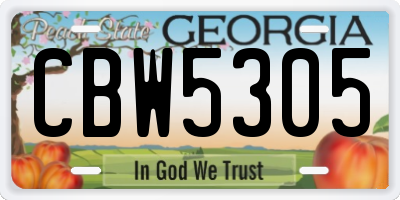 GA license plate CBW5305