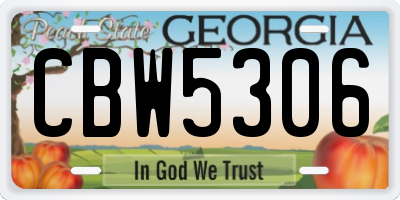 GA license plate CBW5306