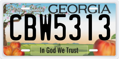 GA license plate CBW5313
