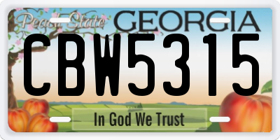 GA license plate CBW5315