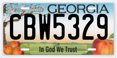 GA license plate CBW5329