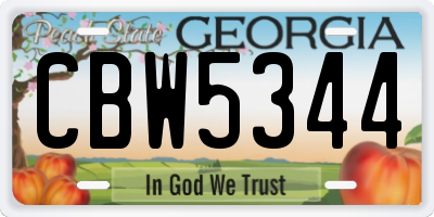 GA license plate CBW5344