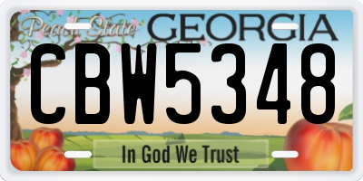 GA license plate CBW5348