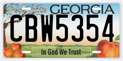 GA license plate CBW5354