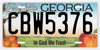 GA license plate CBW5376