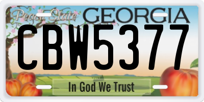 GA license plate CBW5377