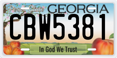GA license plate CBW5381