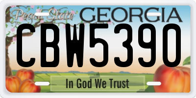 GA license plate CBW5390