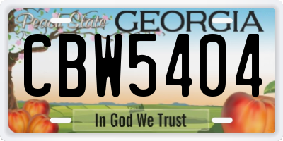 GA license plate CBW5404