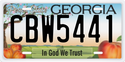 GA license plate CBW5441
