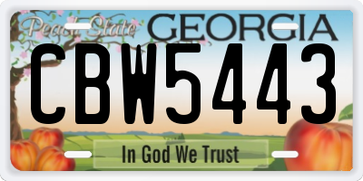 GA license plate CBW5443
