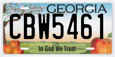GA license plate CBW5461