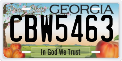 GA license plate CBW5463