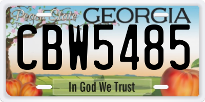 GA license plate CBW5485
