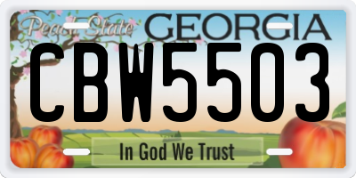 GA license plate CBW5503