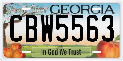 GA license plate CBW5563