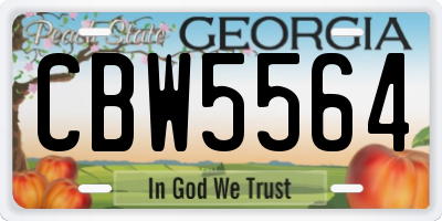 GA license plate CBW5564
