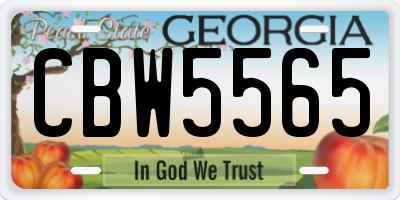 GA license plate CBW5565