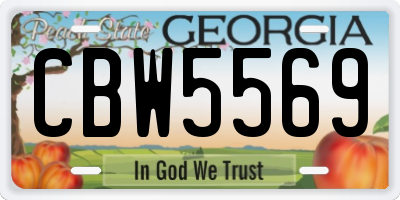 GA license plate CBW5569