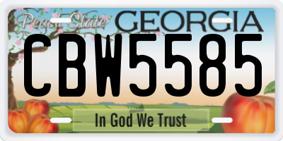 GA license plate CBW5585