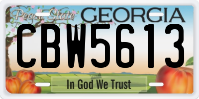 GA license plate CBW5613
