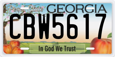 GA license plate CBW5617