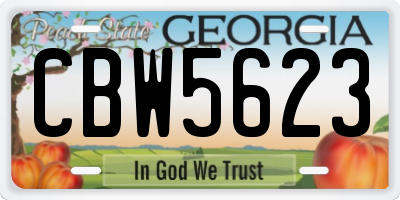GA license plate CBW5623