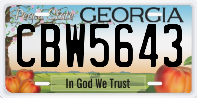GA license plate CBW5643
