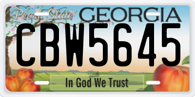 GA license plate CBW5645