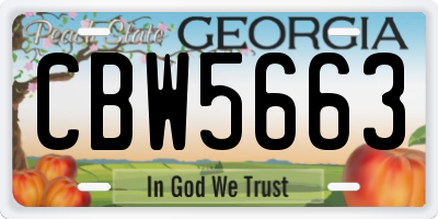 GA license plate CBW5663