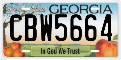 GA license plate CBW5664