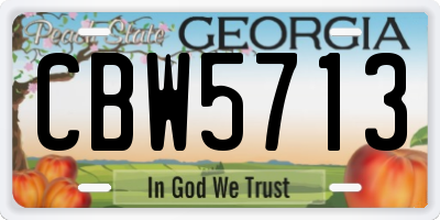 GA license plate CBW5713