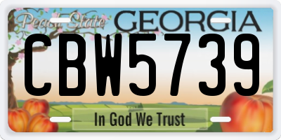 GA license plate CBW5739