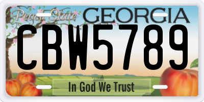GA license plate CBW5789
