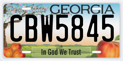GA license plate CBW5845