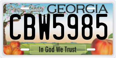 GA license plate CBW5985