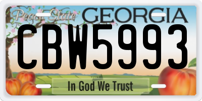 GA license plate CBW5993