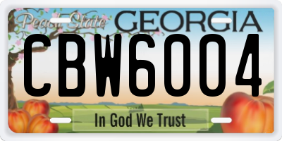 GA license plate CBW6004