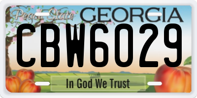 GA license plate CBW6029