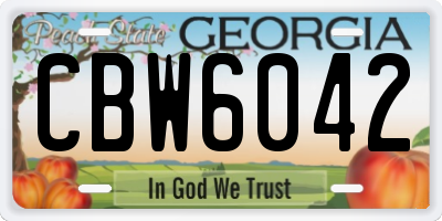 GA license plate CBW6042