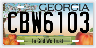 GA license plate CBW6103