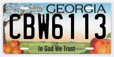 GA license plate CBW6113