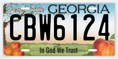 GA license plate CBW6124