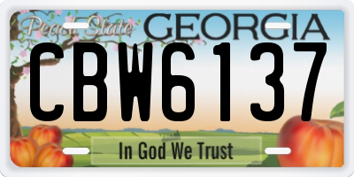 GA license plate CBW6137