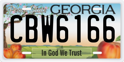 GA license plate CBW6166