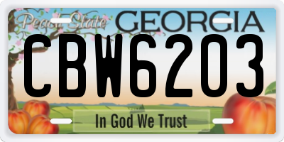 GA license plate CBW6203